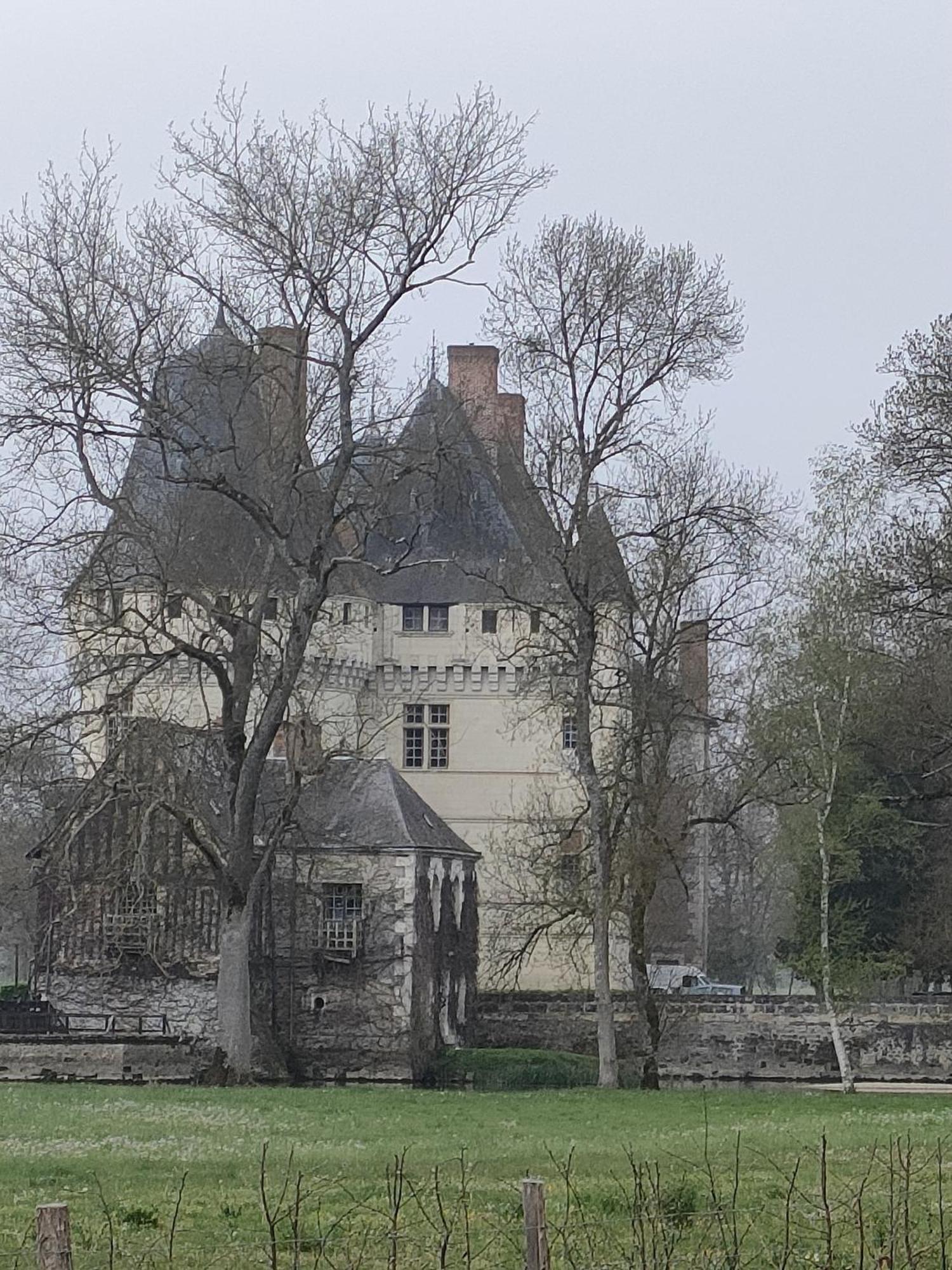 Les Logis D Usse Villa Rigny-Ussé Exterior foto